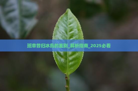 班章昔归冰岛的差别