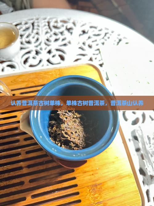 认养普洱茶古树单珠