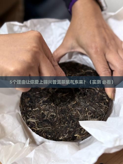 锦兴普洱茶紫气东来