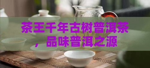 品千年古树普洱茶