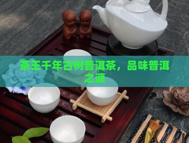 品千年古树普洱茶