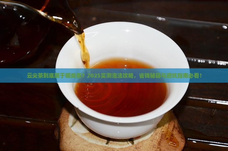 云尖茶属于什么茶怎么泡