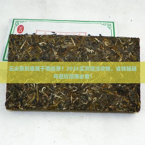 云尖茶属于什么茶怎么泡