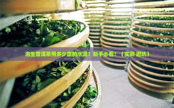 泡生普洱茶用多少度的水温 泡生普洱茶用多少度的水温