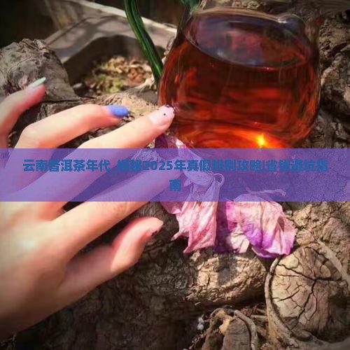 云南普洱茶年代