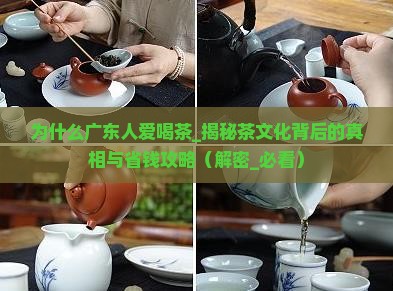 为什么广东人爱喝茶
