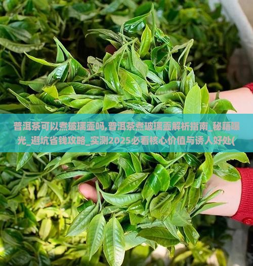 普洱茶可以煮玻璃壶吗