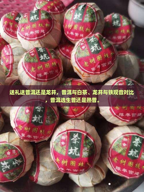 送礼送普洱还是龙井