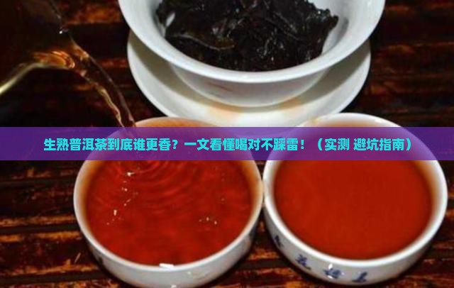 生熟普洱茶的不同口味