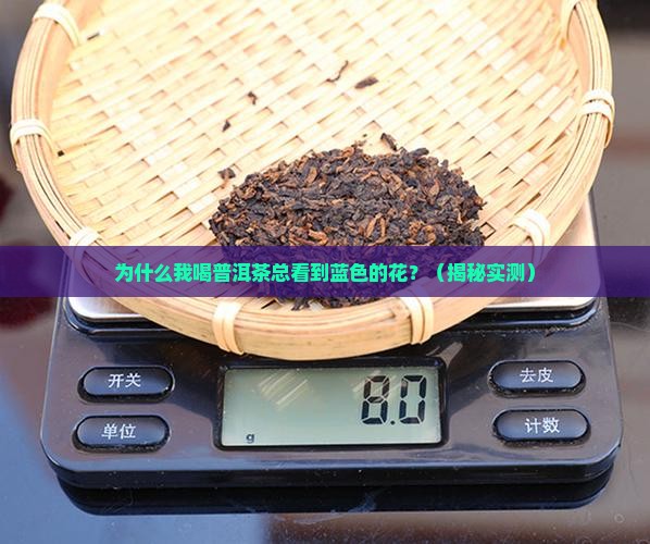 普洱茶中什么是蓝色的花