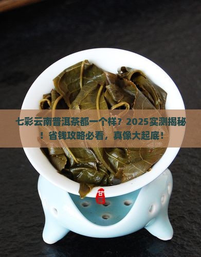 七彩云南普洱茶是一样的吗