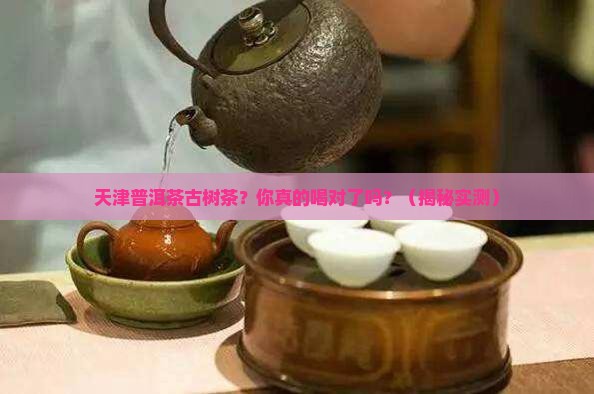 天津普洱茶古树茶