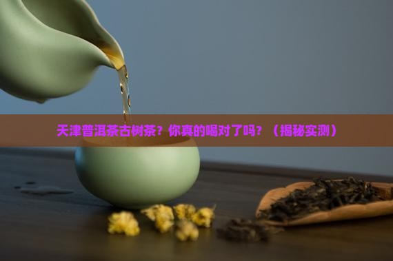天津普洱茶古树茶