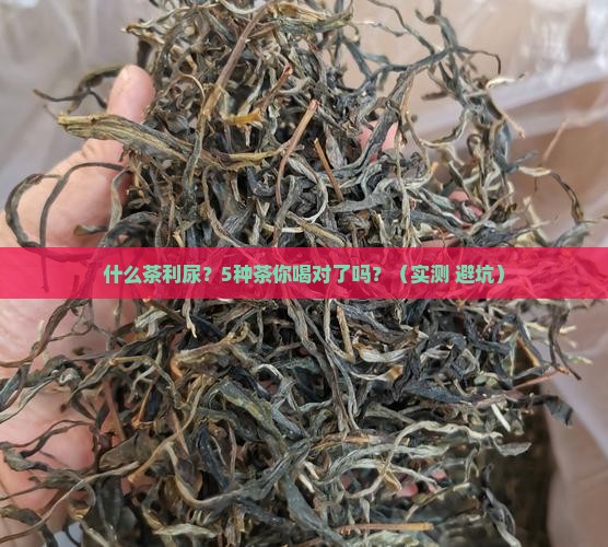 什么茶利尿所有的茶都是利尿的吗