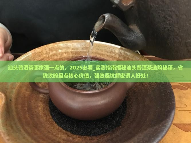 汕头普洱茶哪家强一点的