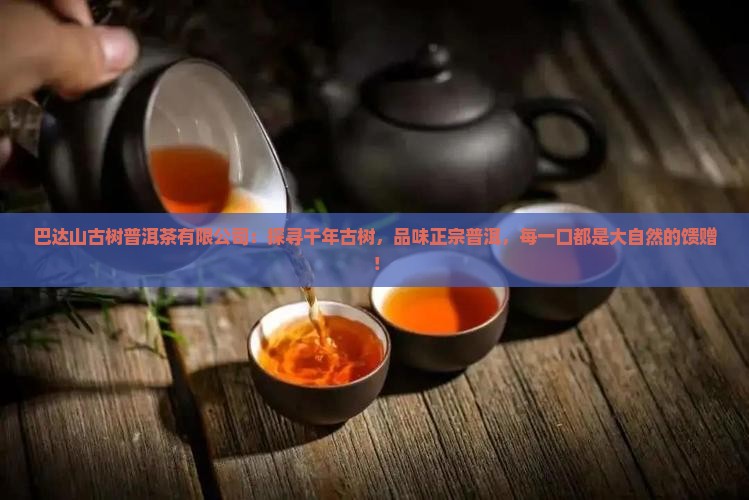 巴达山古树普洱茶有限公司
