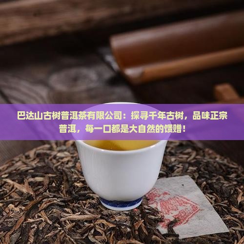 巴达山古树普洱茶有限公司