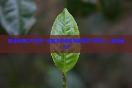 普洱茶产地有哪些城市和县城