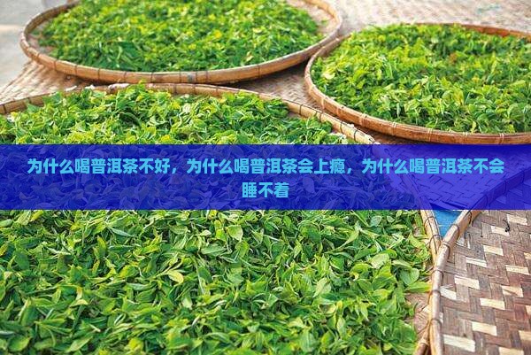 为什么喝普洱茶不好