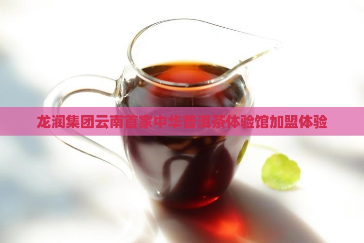 龙润普洱茶体验馆