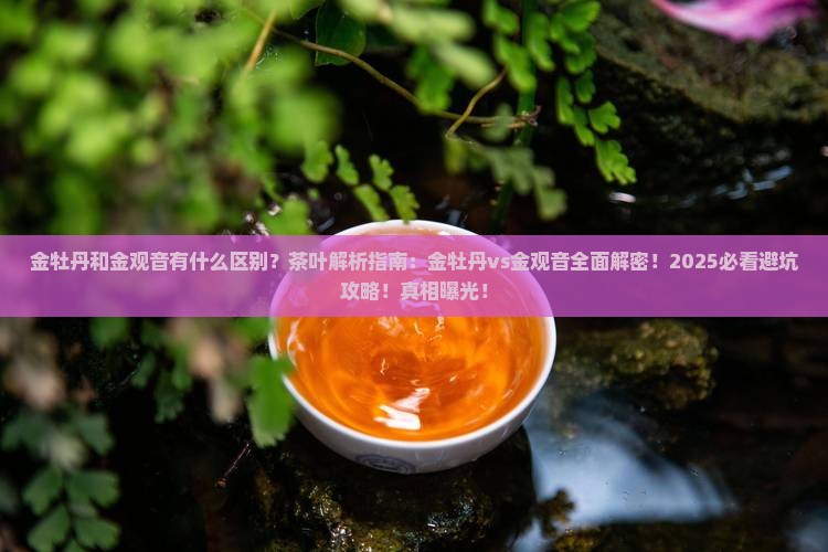 金牡丹和金观音的茶叶区别