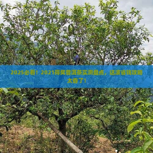 2021得奖普洱茶