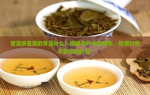 普洱茶里面的芽是什么