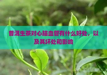 普洱生茶对心脑血管有什么好处