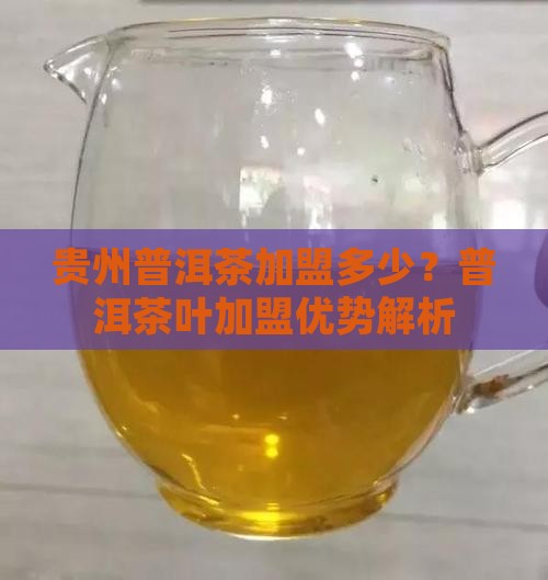 贵州普洱茶加盟