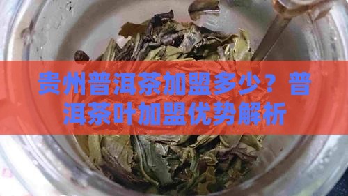 贵州普洱茶加盟