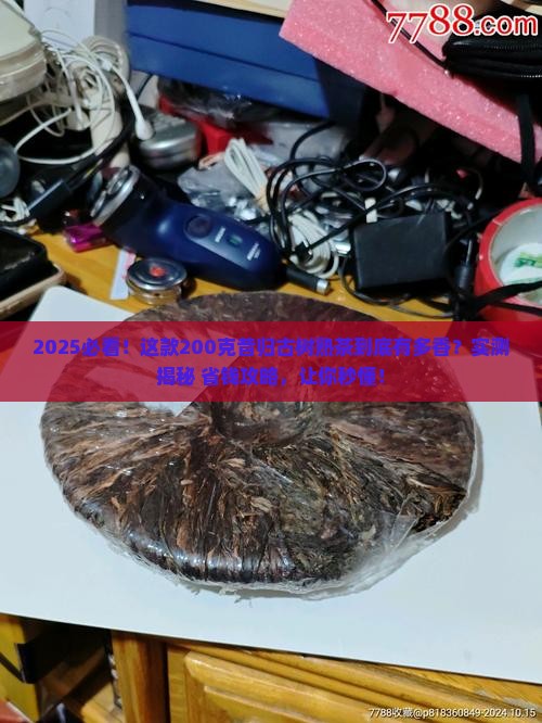 昔归古树熟茶200克
