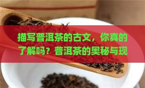 描写普洱茶的古文