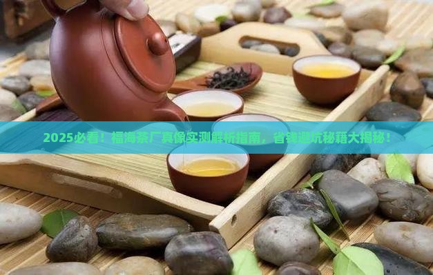 福海茶厂怎么样