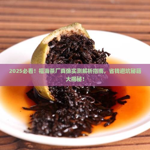 福海茶厂怎么样