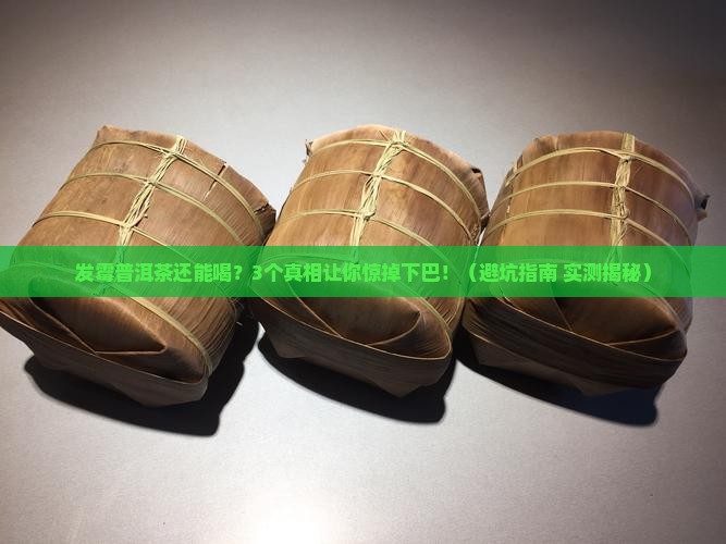 发霉普洱茶可以煮着喝