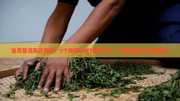 发霉普洱茶可以煮着喝