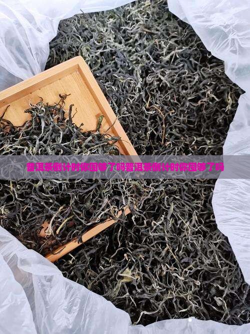 普洱茶倒计时你囤够了吗