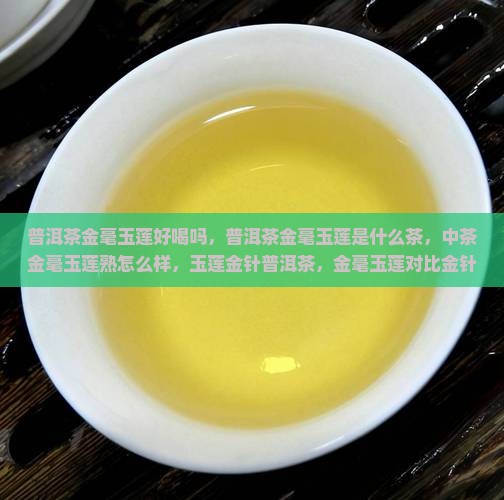 普洱茶金毫玉莲