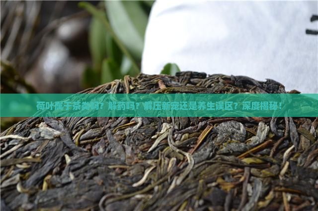荷叶属于茶类吗解药吗