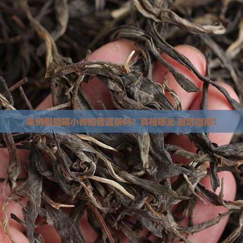 来例假可以喝小青柑普洱茶吗