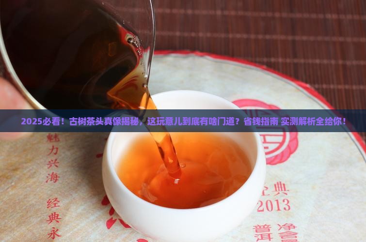 什么是古树茶头