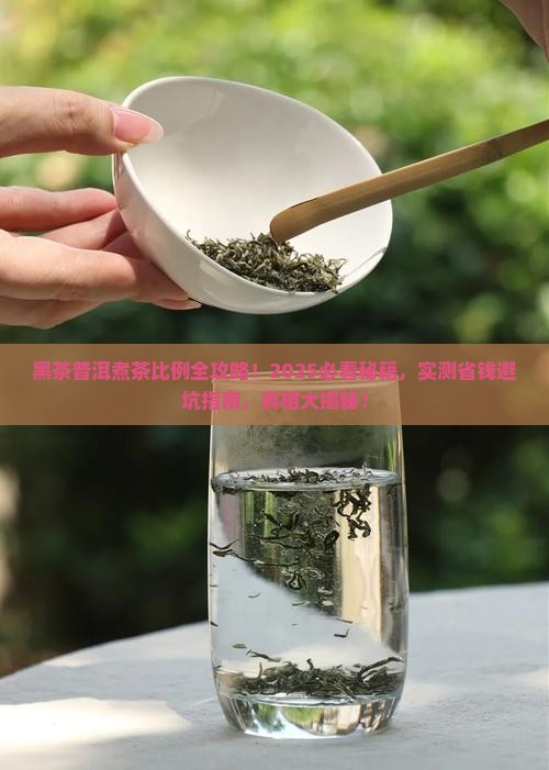 黑茶和普洱茶煮茶比例