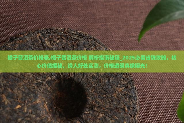 橘子普洱茶价格表