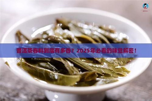 普洱茶春料什么味道最好