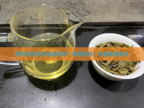 鲜奶加普洱茶能减肥吗