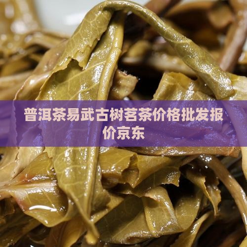 普洱茶武易正山什么价格