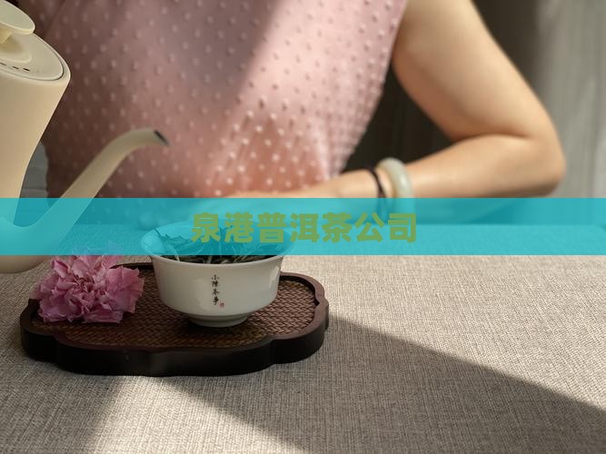 泉港普洱茶公司