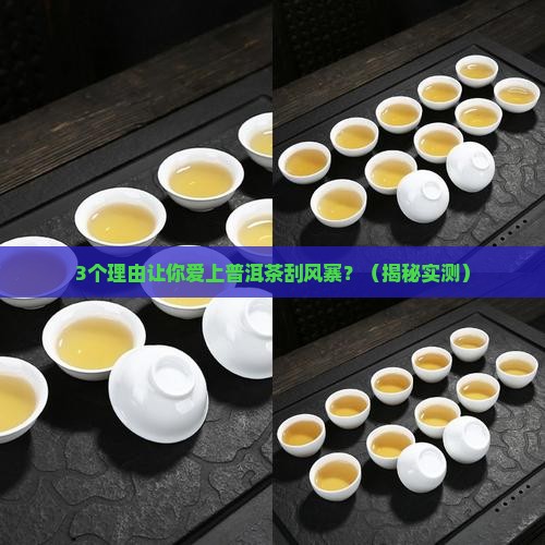 普洱茶刮风寨介绍