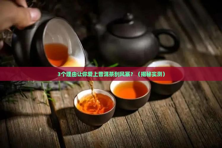 普洱茶刮风寨介绍