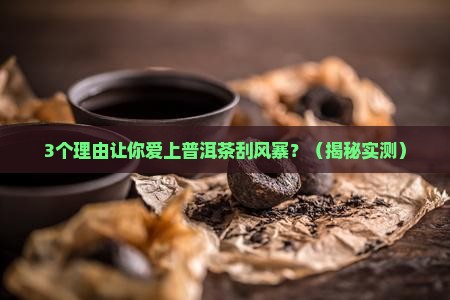 普洱茶刮风寨介绍